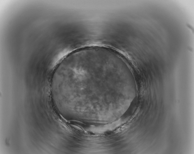 X0000095881359200801251131