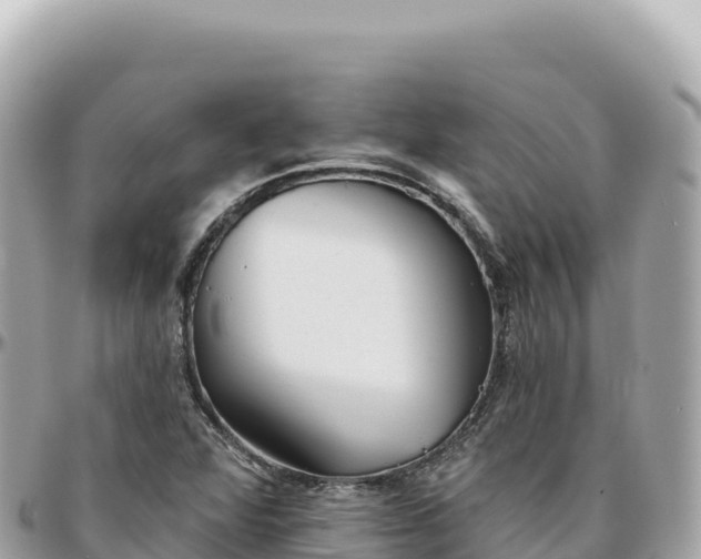 X0000095881360200801251131