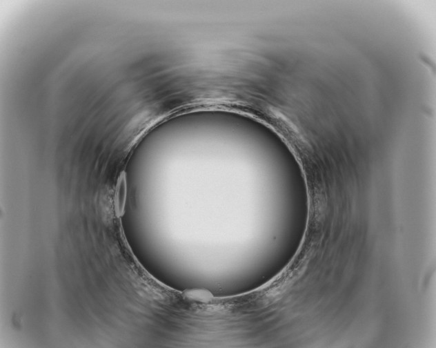 X0000095881361200801251131