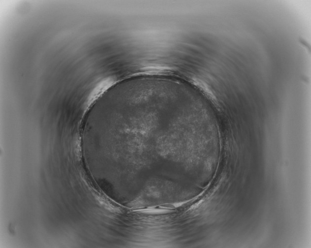 X0000095881362200801251131