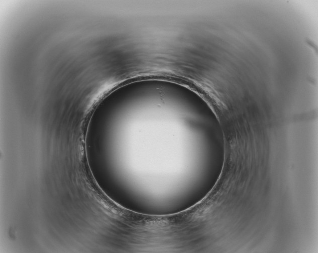 X0000095881363200801251131