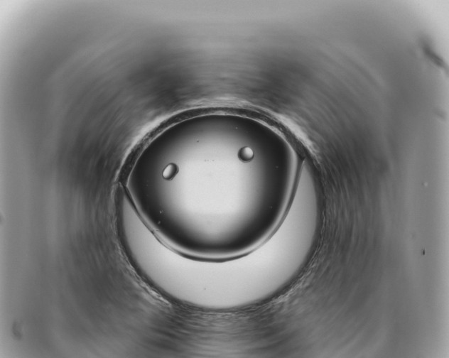 X0000095881364200801251131