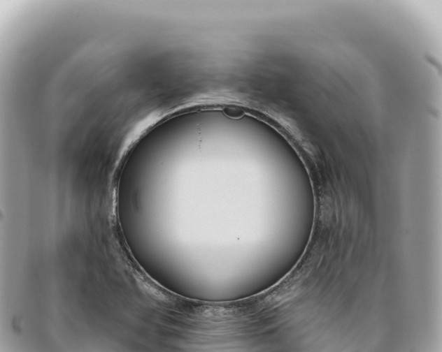 X0000095881366200801251131