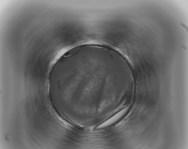 X0000095881367200801251131