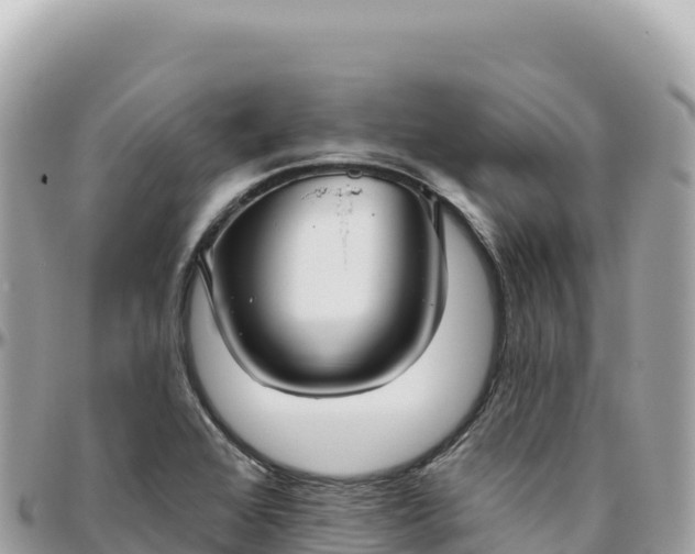 X0000095881368200801251131