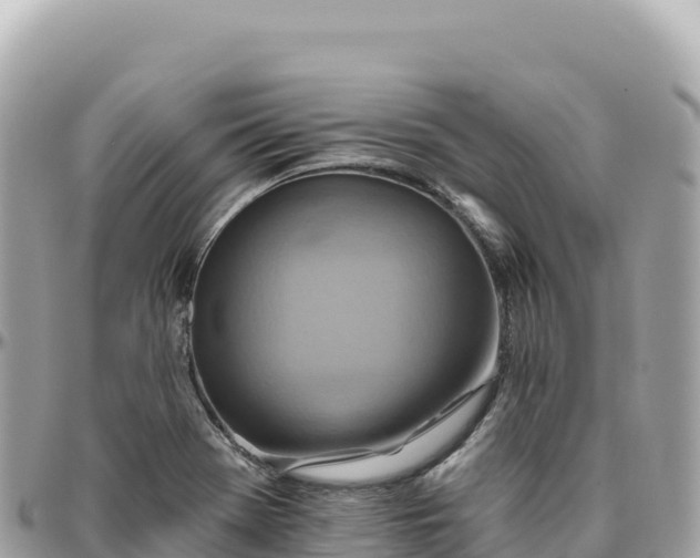 X0000095881369200801251131