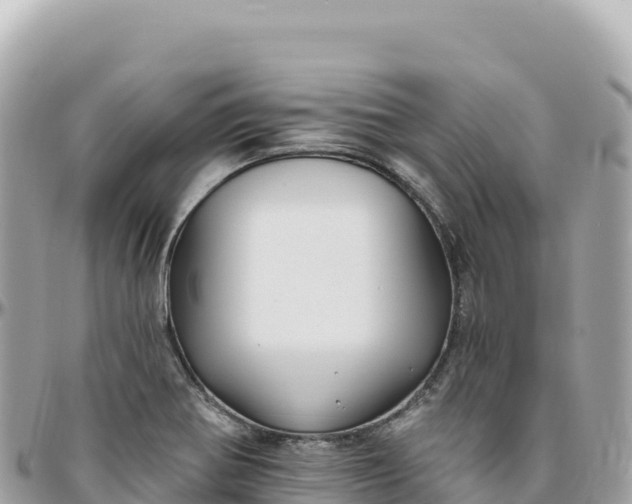 X0000095881370200801251131