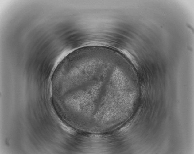 X0000095881371200801251131