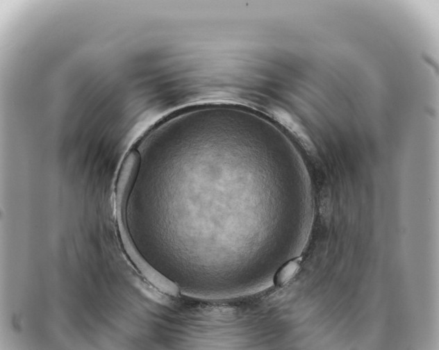 X0000095881372200801251131