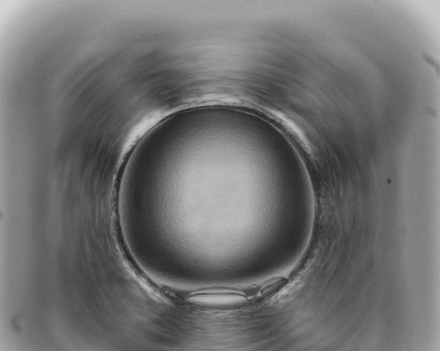 X0000095881373200801251131