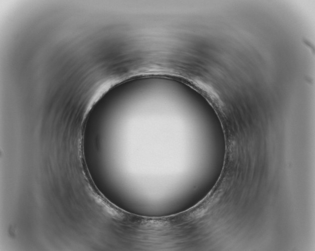 X0000095881374200801251131