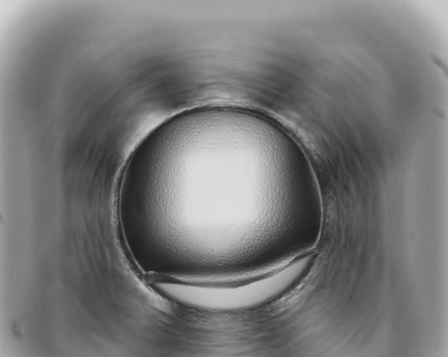 X0000095881375200801251131