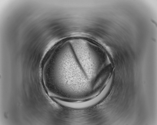 X0000095881376200801251131