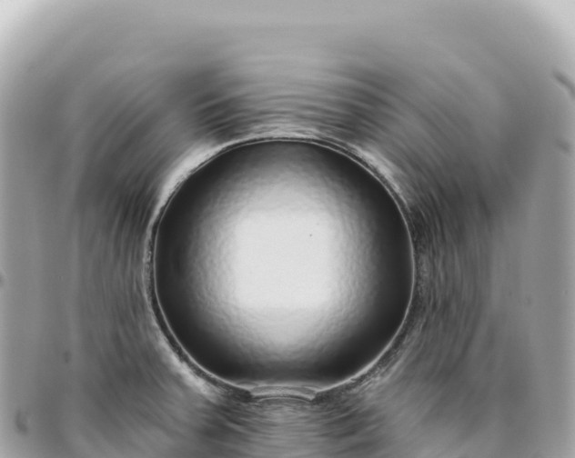 X0000095881379200801251131