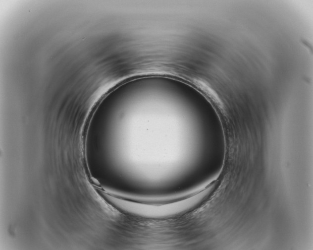 X0000095881380200801251131