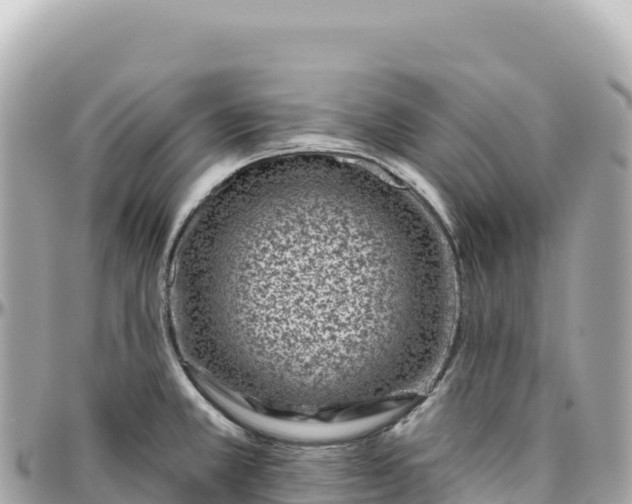 X0000095881381200801251131