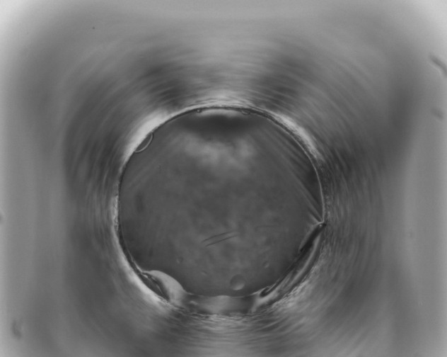 X0000095881383200801251131