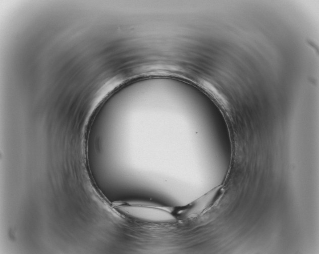 X0000095881384200801251131