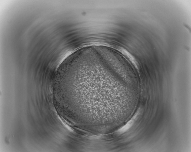 X0000095881385200801251131