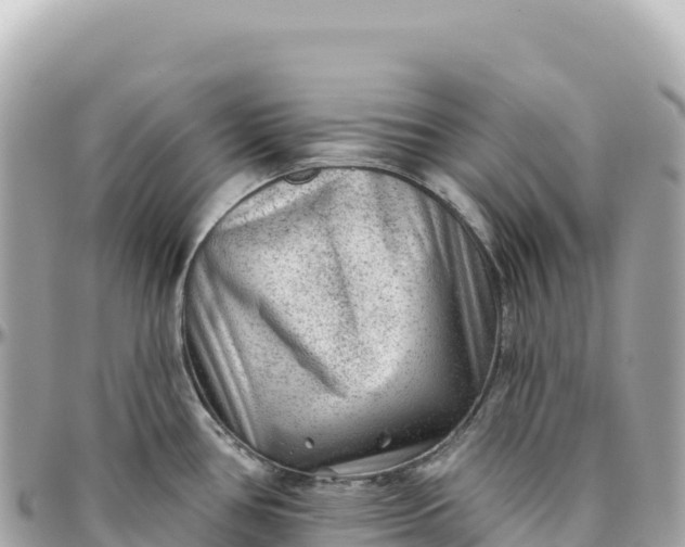 X0000095881386200801251131