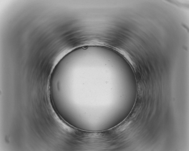 X0000095881387200801251131