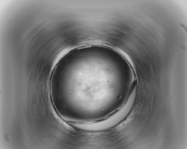 X0000095881389200801251131