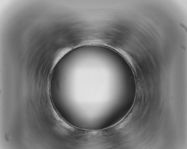 X0000095881390200801251131