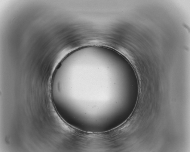 X0000095881392200801251131