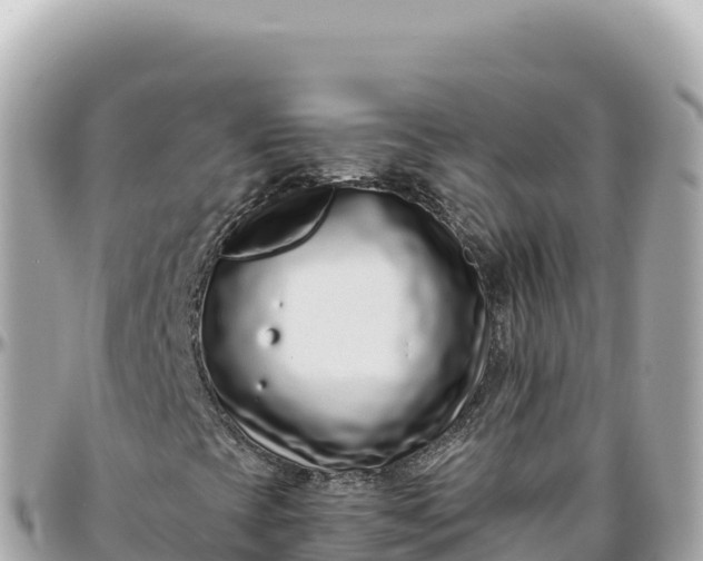 X0000095881393200801251130