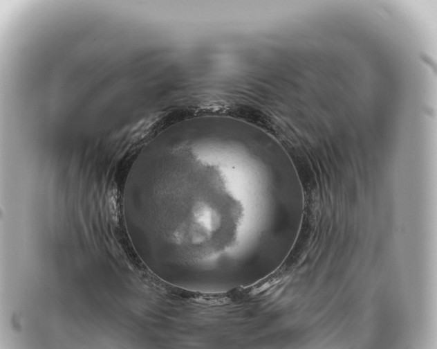 X0000095881394200801251130