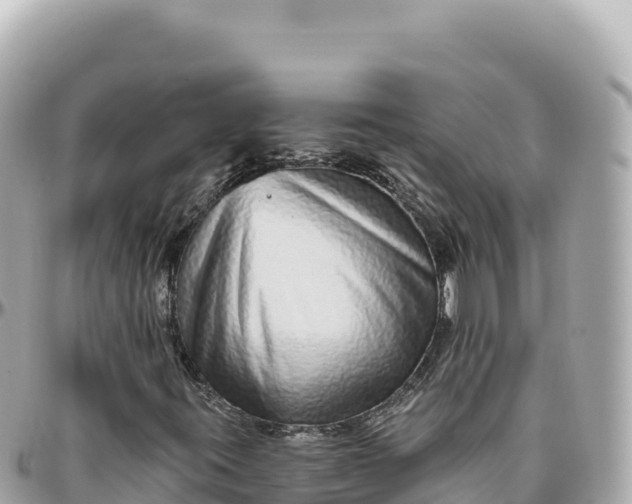 X0000095881395200801251130