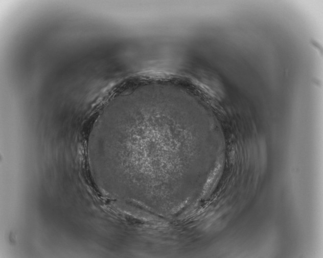 X0000095881397200801251130