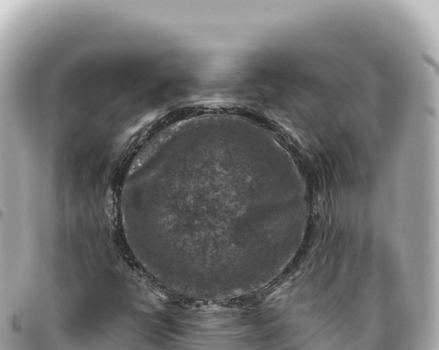 X0000095881398200801251130