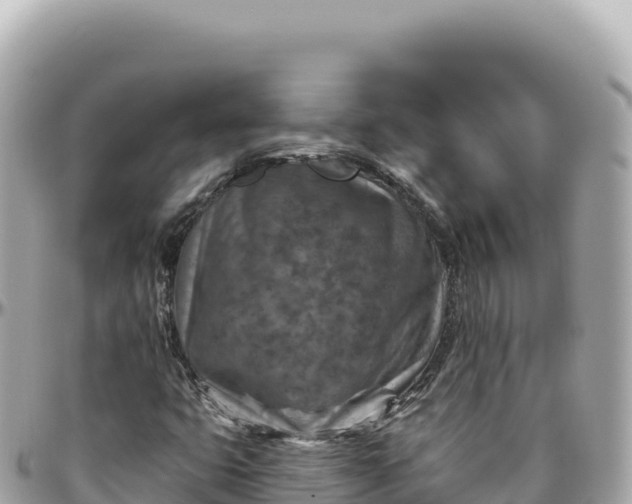 X0000095881399200801251130