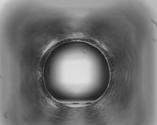 X0000095881400200801251130