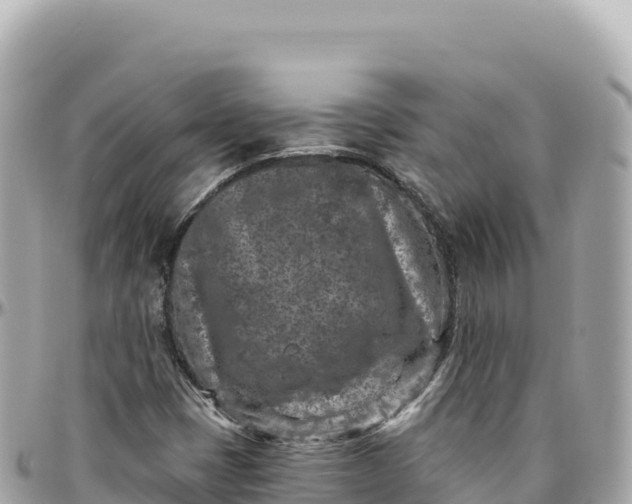 X0000095881401200801251130