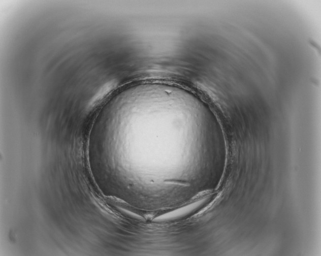 X0000095881403200801251130