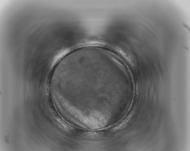 X0000095881405200801251130