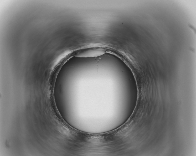 X0000095881406200801251130