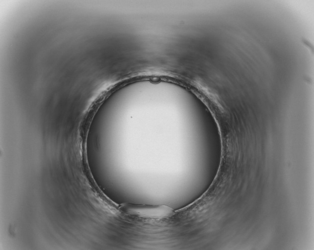 X0000095881408200801251130