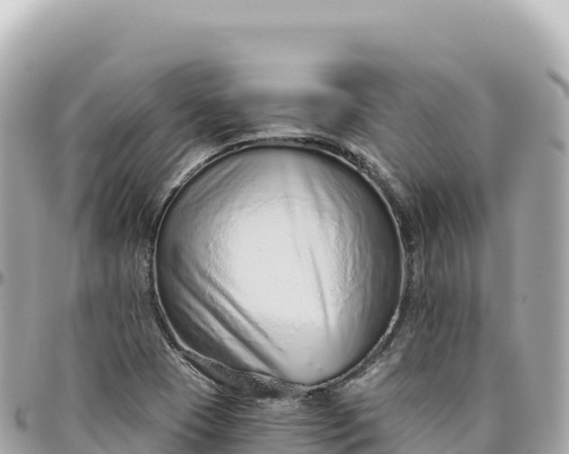 X0000095881409200801251130