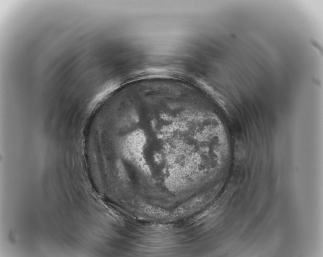 X0000095881411200801251130