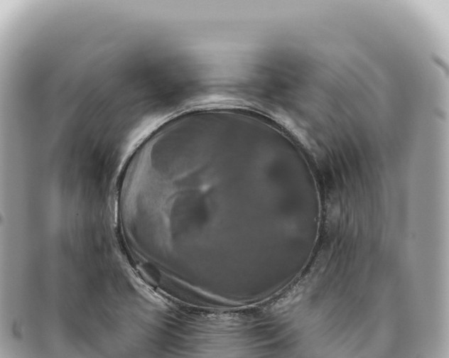 X0000095881413200801251130