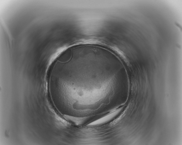 X0000095881414200801251130