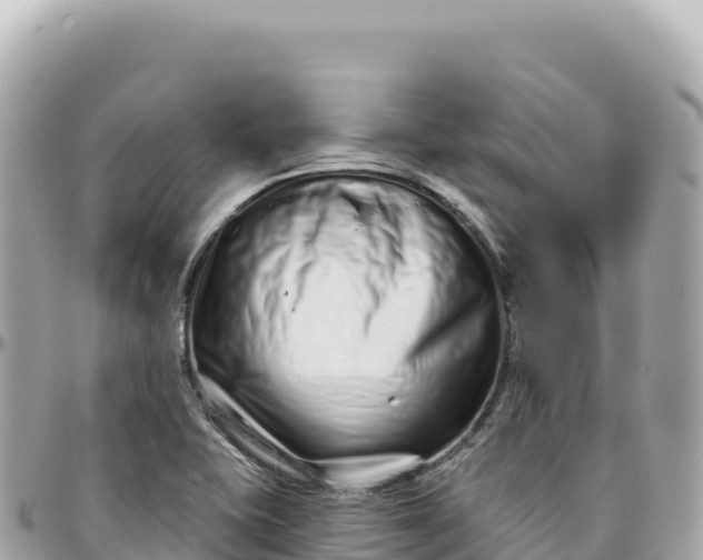 X0000095881415200801251130