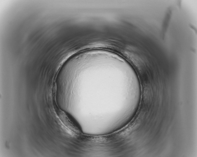 X0000095881417200801251130