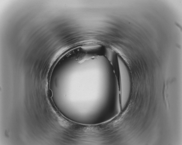 X0000095881418200801251130