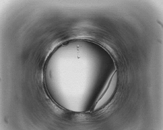 X0000095881420200801251130