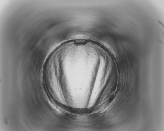 X0000095881421200801251130