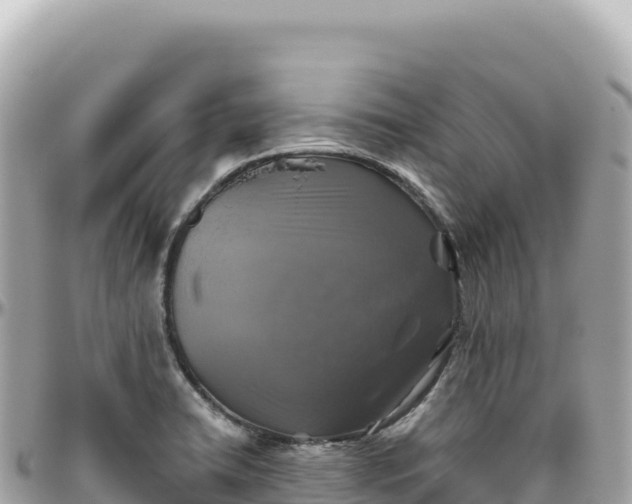 X0000095881422200801251130